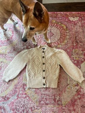 Who What Wear Tan Sweater